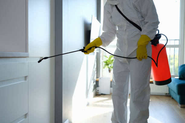 Best Bathroom Mold Remediation in Long Hill, CT